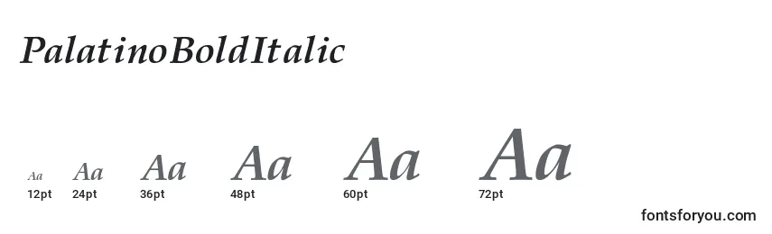 Größen der Schriftart PalatinoBoldItalic