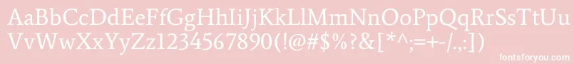 AverageRegular Font – White Fonts on Pink Background