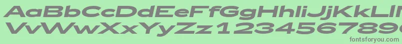Zeppelin52BoldItalic Font – Gray Fonts on Green Background