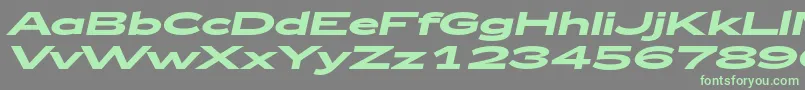 Fonte Zeppelin52BoldItalic – fontes verdes em um fundo cinza