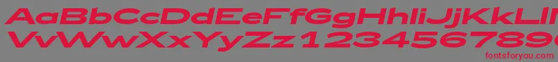 Zeppelin52BoldItalic Font – Red Fonts on Gray Background