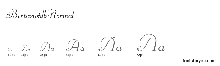 BertscriptdbNormal Font Sizes