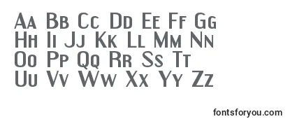 Review of the EngebrechtreexpBold Font