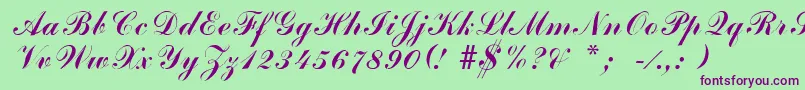 ArenskiLengyarItalic Font – Purple Fonts on Green Background