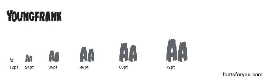 Youngfrank Font Sizes