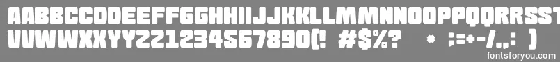 フォントGomariceGomaBlock – 灰色の背景に白い文字