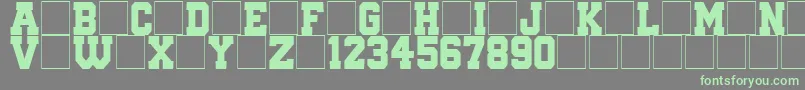 QuaterbackFight Font – Green Fonts on Gray Background