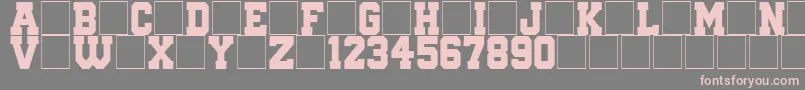 QuaterbackFight Font – Pink Fonts on Gray Background