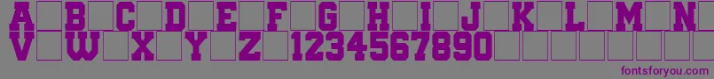 QuaterbackFight Font – Purple Fonts on Gray Background