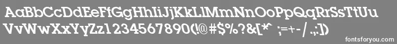 LaplandleftyBold Font – White Fonts on Gray Background