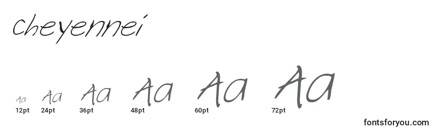 Cheyennei Font Sizes