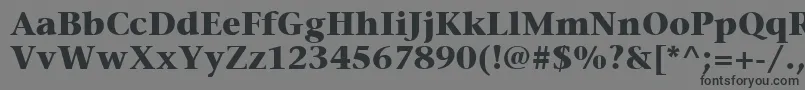 ItcStoneSerifLtBold-Schriftart – Schwarze Schriften auf grauem Hintergrund