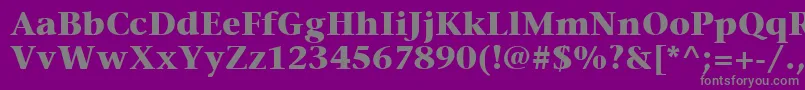 ItcStoneSerifLtBold-Schriftart – Graue Schriften auf violettem Hintergrund