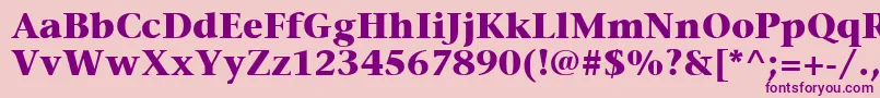 ItcStoneSerifLtBold Font – Purple Fonts on Pink Background