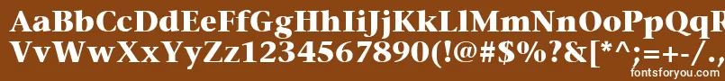 フォントItcStoneSerifLtBold – 茶色の背景に白い文字