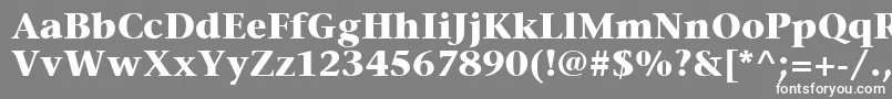 Шрифт ItcStoneSerifLtBold – белые шрифты на сером фоне