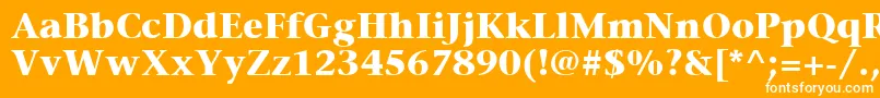 フォントItcStoneSerifLtBold – オレンジの背景に白い文字