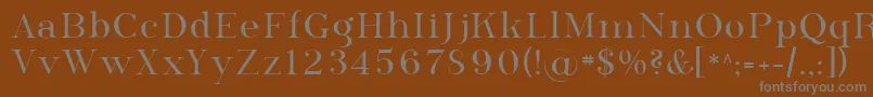 フォントSfphosphorusselenide – 茶色の背景に灰色の文字