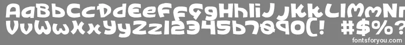 フォントKingv2 – 灰色の背景に白い文字