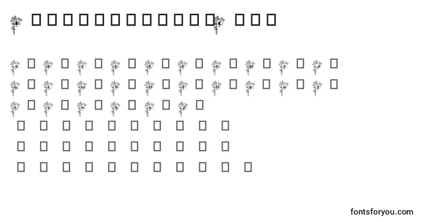 Czcionka BlumenstraussCaps – alfabet, cyfry, specjalne znaki