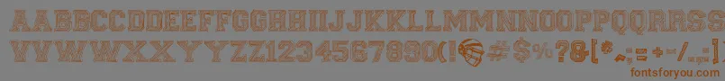 FineCollege Font – Brown Fonts on Gray Background