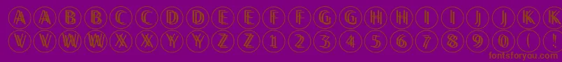 Twilightdisks Font – Brown Fonts on Purple Background