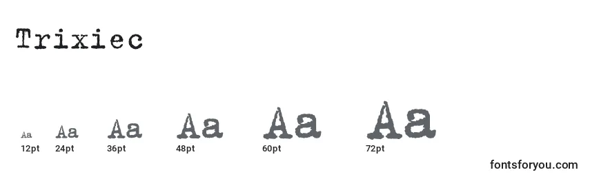Trixiec Font Sizes
