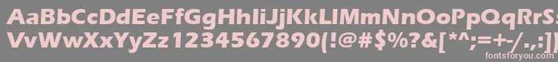 ErasBoldItc Font – Pink Fonts on Gray Background