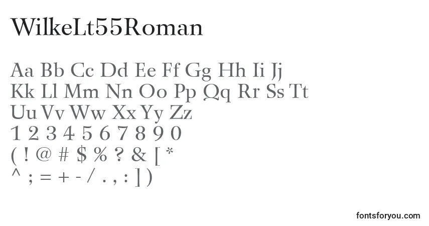 Шрифт WilkeLt55Roman – алфавит, цифры, специальные символы