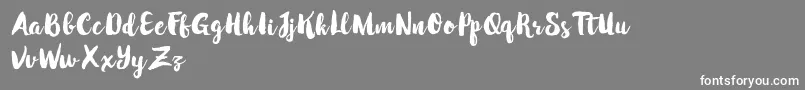 WinterBrushDemo Font – White Fonts on Gray Background