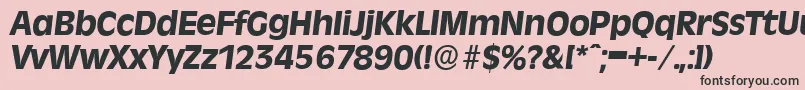 RavennaserialXboldItalic Font – Black Fonts on Pink Background
