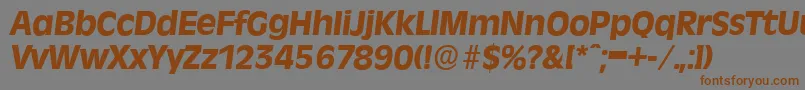RavennaserialXboldItalic-fontti – ruskeat fontit harmaalla taustalla