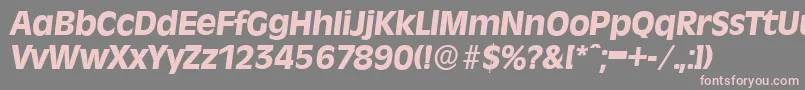 RavennaserialXboldItalic Font – Pink Fonts on Gray Background