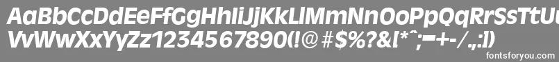 フォントRavennaserialXboldItalic – 灰色の背景に白い文字