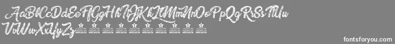 DrawingNature Font – White Fonts on Gray Background