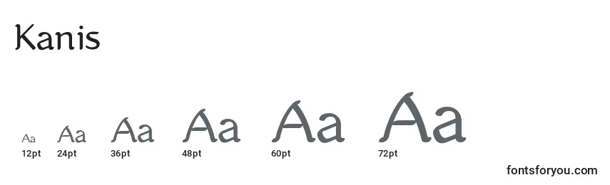 Kanis Font Sizes