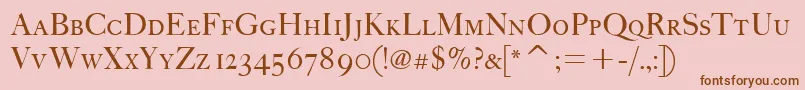 FcaslonfortytwoscitcTt Font – Brown Fonts on Pink Background