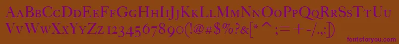 FcaslonfortytwoscitcTt Font – Purple Fonts on Brown Background