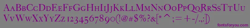 Шрифт FcaslonfortytwoscitcTt – фиолетовые шрифты на сером фоне