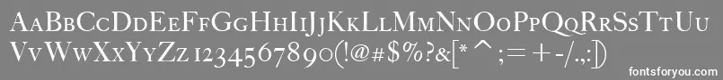 FcaslonfortytwoscitcTt Font – White Fonts on Gray Background