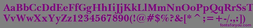 BaskervilleBoldWin95bt-fontti – violetit fontit harmaalla taustalla