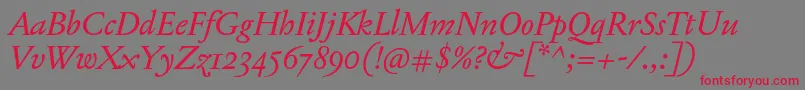 JannonTModerneProItalic Font – Red Fonts on Gray Background