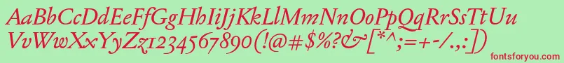 JannonTModerneProItalic Font – Red Fonts on Green Background