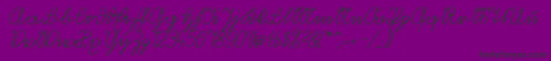 VolkredisVerkehrsschift Font – Black Fonts on Purple Background