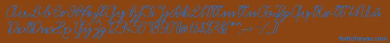 VolkredisVerkehrsschift Font – Blue Fonts on Brown Background