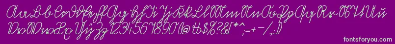 VolkredisVerkehrsschift Font – Green Fonts on Purple Background