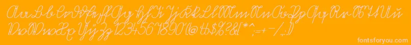 VolkredisVerkehrsschift Font – Pink Fonts on Orange Background