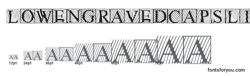 Lowengravedcapslight Font Sizes