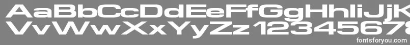 Supertouch-Schriftart – Weiße Schriften auf grauem Hintergrund