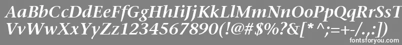 フォントMesouranSerifSsiSemiBoldItalic – 灰色の背景に白い文字